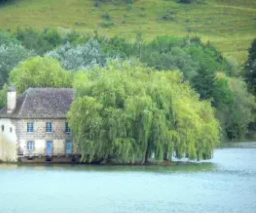 En Toute Quietude Lissac-sur-Couze Luaran gambar